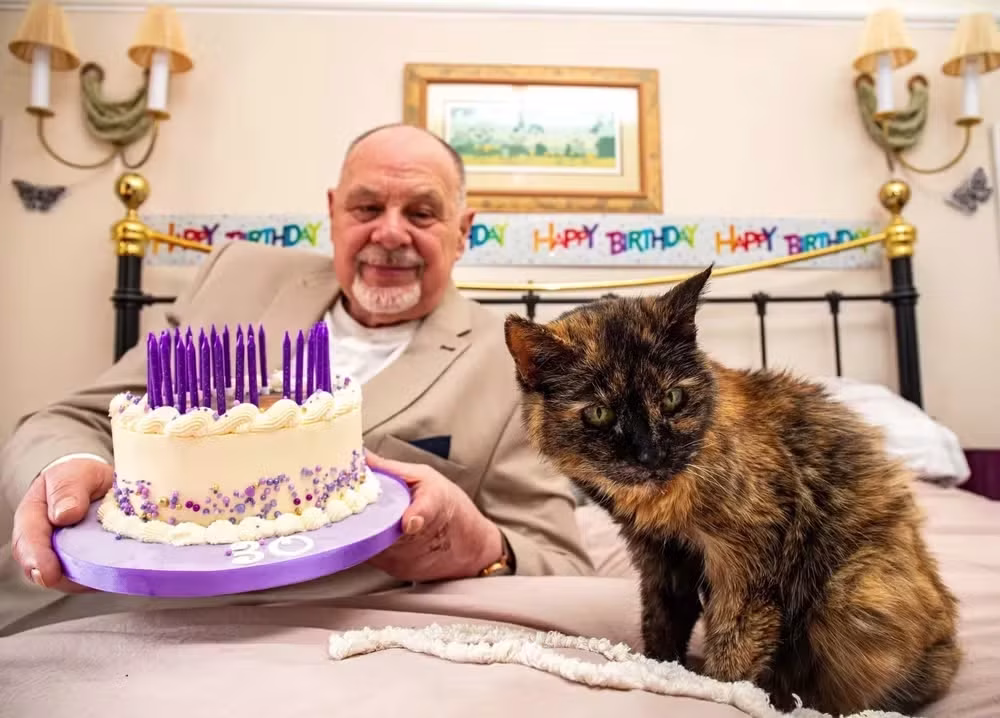 Gata com '146 anos humanos' surpreende o mundo com longevidade