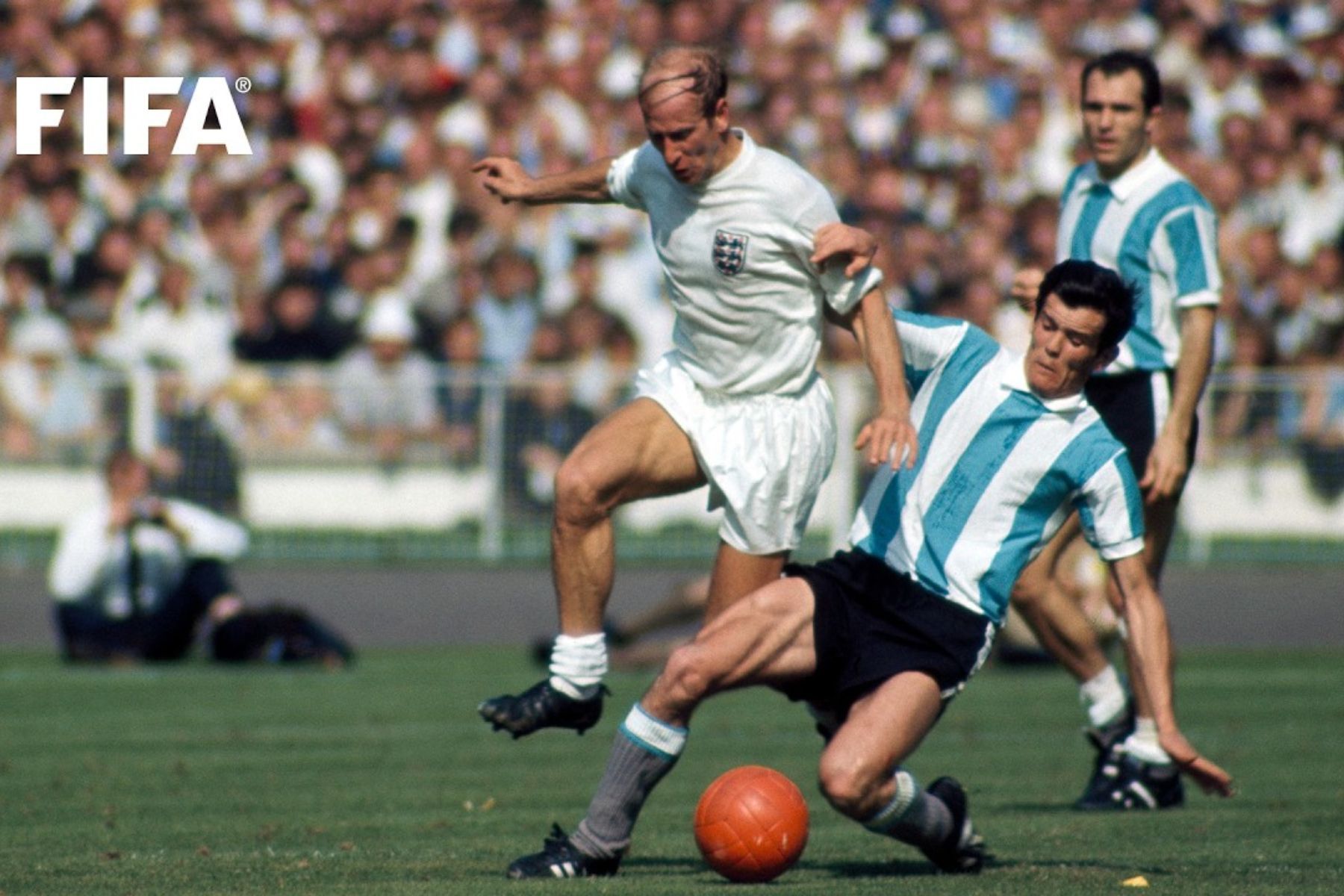 Jogo de Copa entre Inglaterra e Argentina gerou inclusão de cartões no futebol; entenda