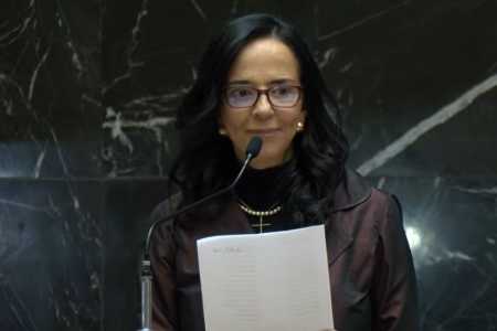 ALMG aprova indicação de deputada Ione Pinheiro para TCE-MG