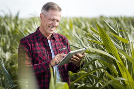 Homem utiliza um tablet em uma plantação para acompanhar informações e monitorar a produção agrícola