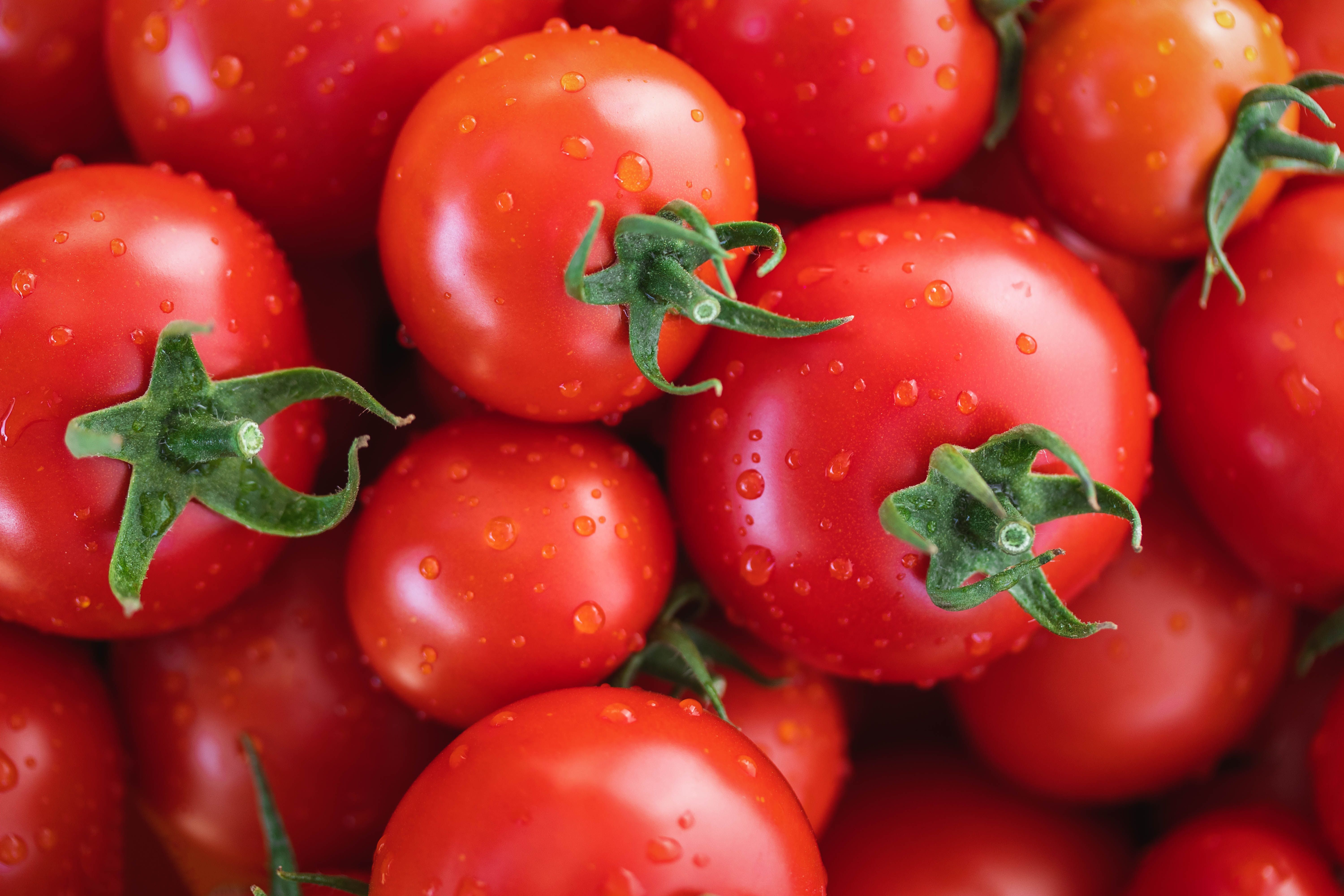 Dani García, chef: 'Para tomates temperados saborosos, deixe-os descansar e liberar seu suco'