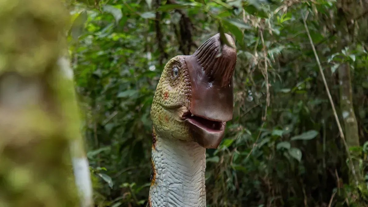 Campos do Jordão terá parque de dinossauros com mais de 60 réplicas gigantes