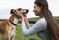 A psicologia afirma que quem conversa com os animais de estimação possui essas características