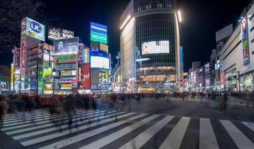 Shibuya, em Tóquio (Japão)