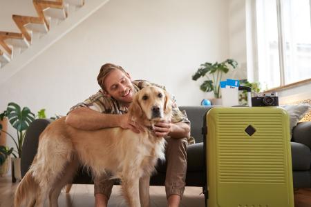 Férias com pets exigem cuidado no transporte e adaptação dos cães.
