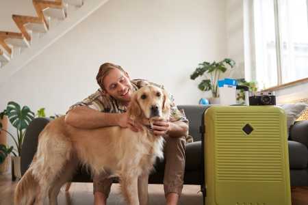 Férias com pets exigem cuidado no transporte e adaptação dos cães.