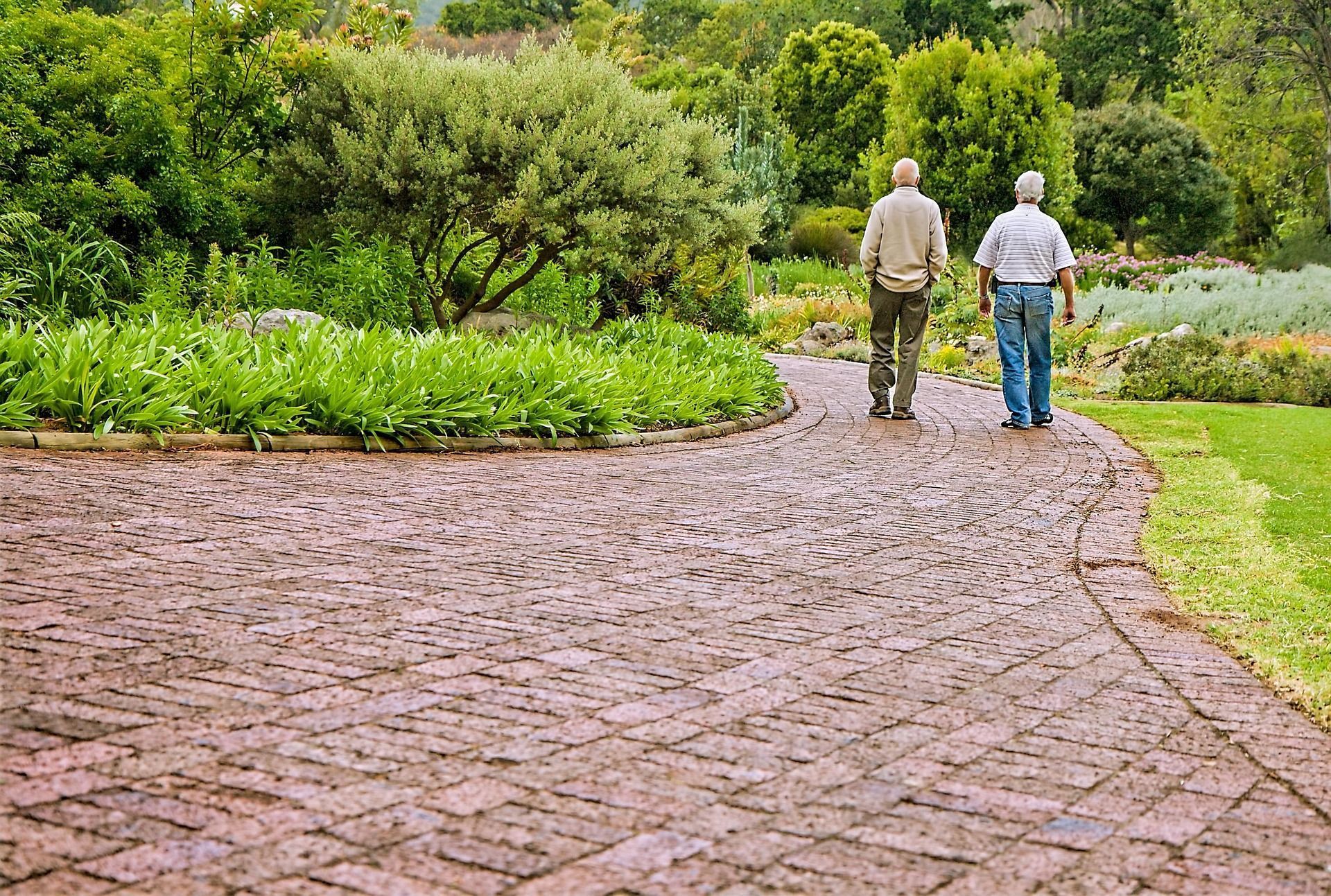 O que significa 'Não construa casa aos 50, não plante árvore aos 60 e não costure aos 70?'