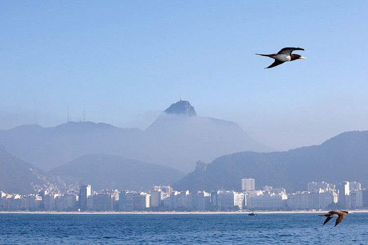 Turismo internacional mantém alta em 2026 e impulsiona bares e restaurantes no Brasil