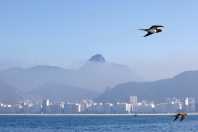 Turismo internacional mantém alta em 2026 e impulsiona bares e restaurantes no Brasil