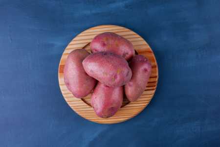 Batata doce
