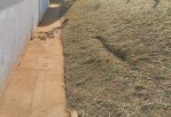 Prefeitura realiza manutenção no CAIC II no bairro Imaculada