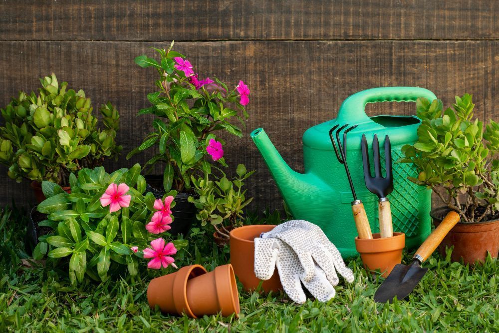 Seu jardim está sem vida? 7 cuidados simples podem devolver a beleza ao local
