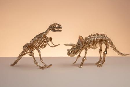 dinossauros