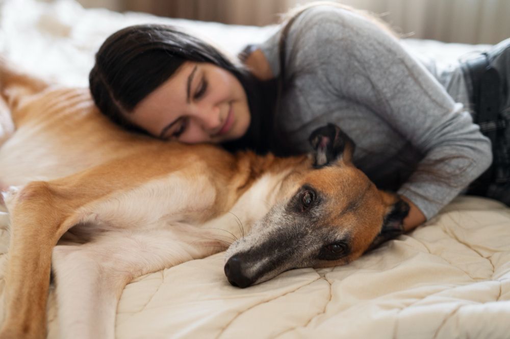 Dormir com cachorro ou gato na cama faz mal? Veja o que dizem especialistas