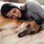 Dormir com cachorro ou gato na cama faz mal? Veja o que dizem especialistas