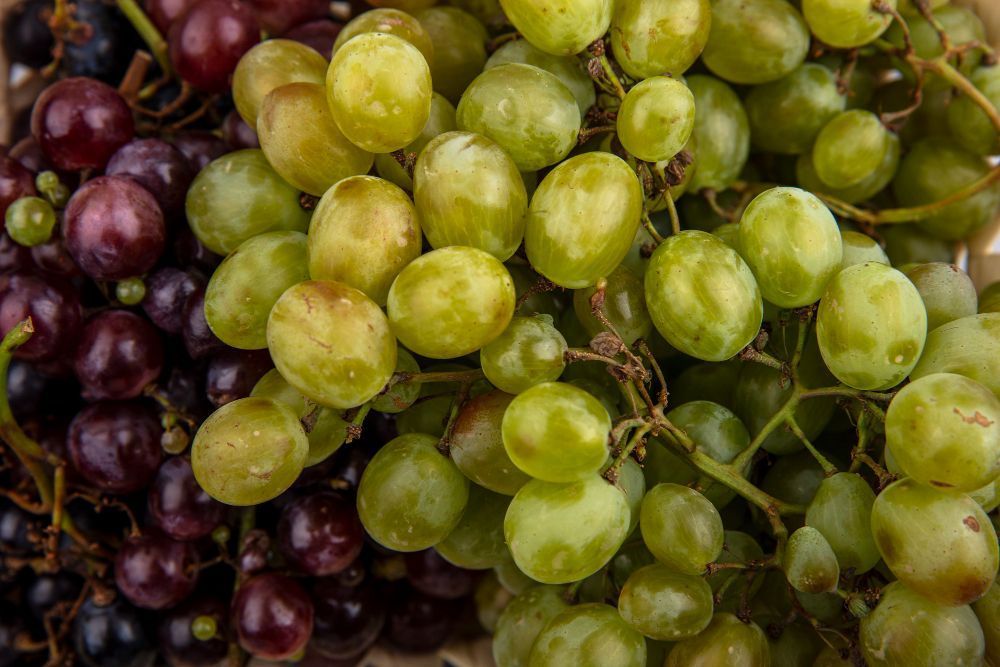 Uva roxa ou verde? Ciência revela a diferença além das cores