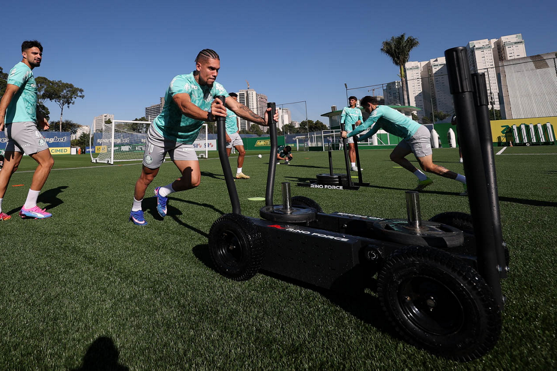 Paulinho tem nova lesão, e Palmeiras sofre duas baixas; Gustavo Gómez avança