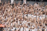 Pesquisa indica que mais da metade da torcida do Santos tem menos de 35 anos