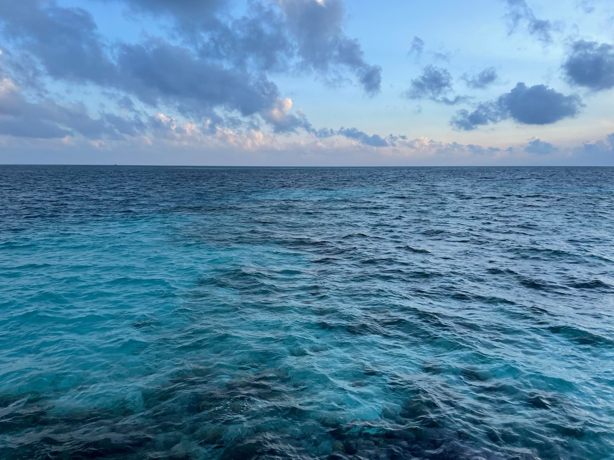 Oceanos contaminados: os poluentes industriais e farmacêuticos que chegam até o mar