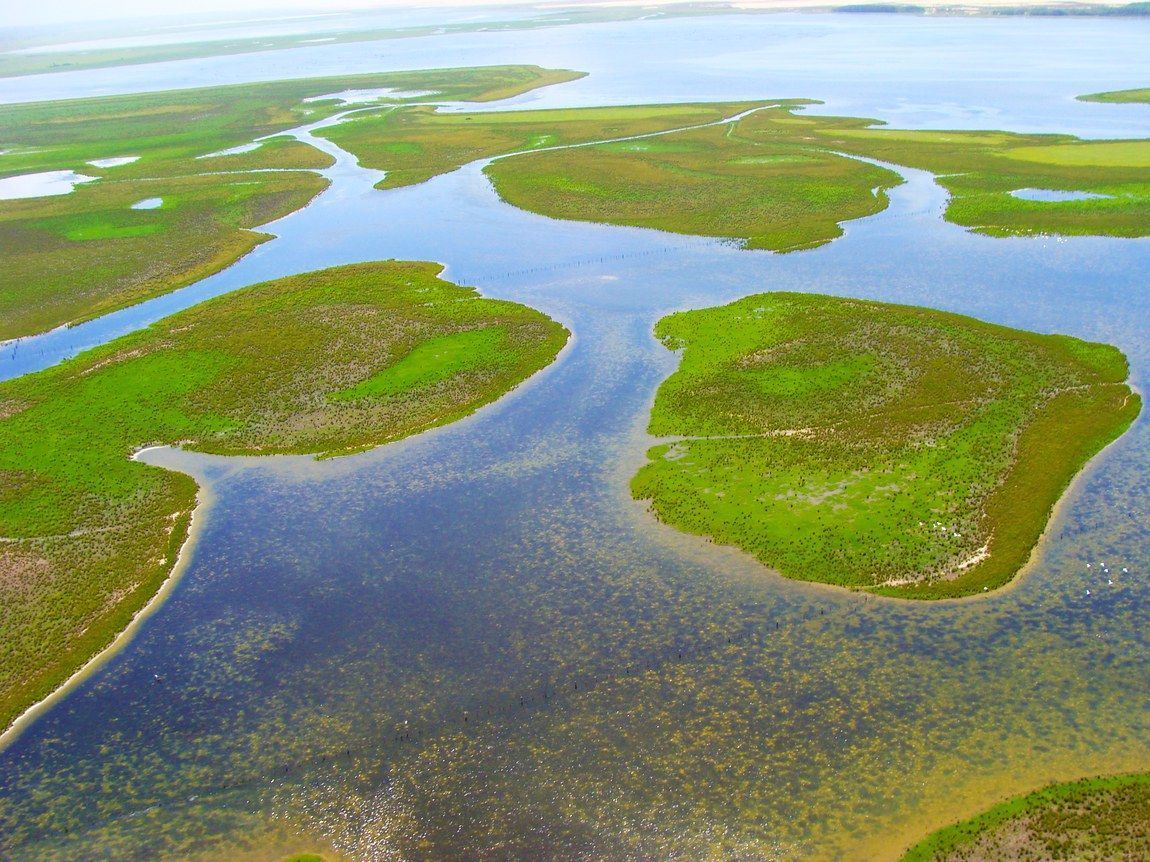 Pampa: bioma combina destinos de natureza, história e tradição gaúcha