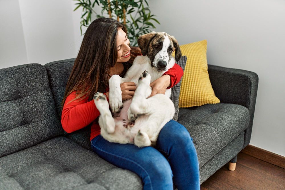 Tratar cachorro 'como gente' faz bem ou faz mal? Saiba por que o tema divide opiniões