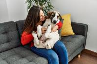 Tratar cachorro 'como gente' faz bem ou faz mal? Saiba por que o tema divide opiniões