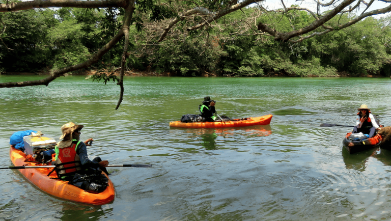 Rota dos Pioneiros: maior trilha aquática do Brasil percorre o Rio Paraná