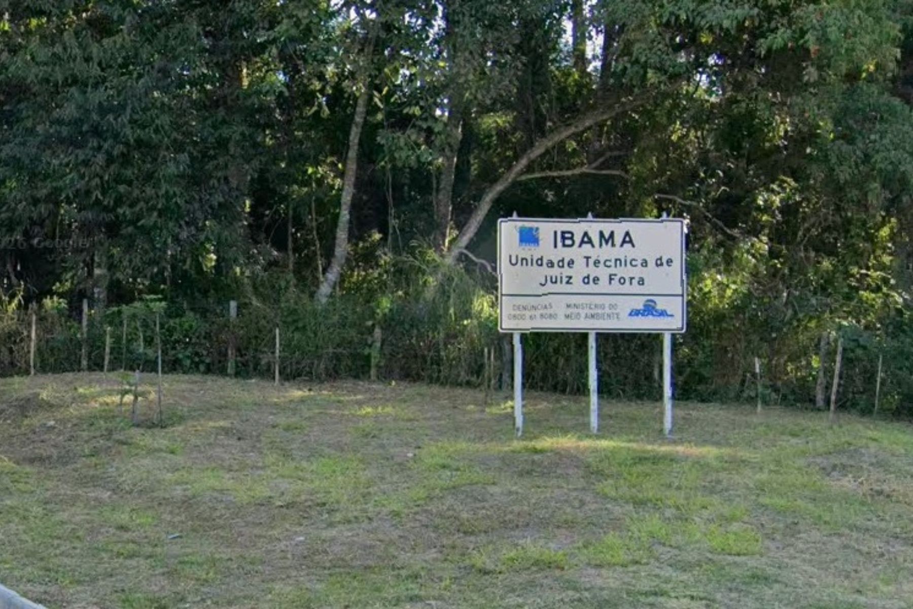 Recebimento de animais está suspenso temporariamente no Cetas Juiz de Fora