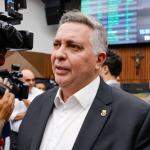 Damião diz que vai sancionar lei que proíbe venda de animais em mercados de BH