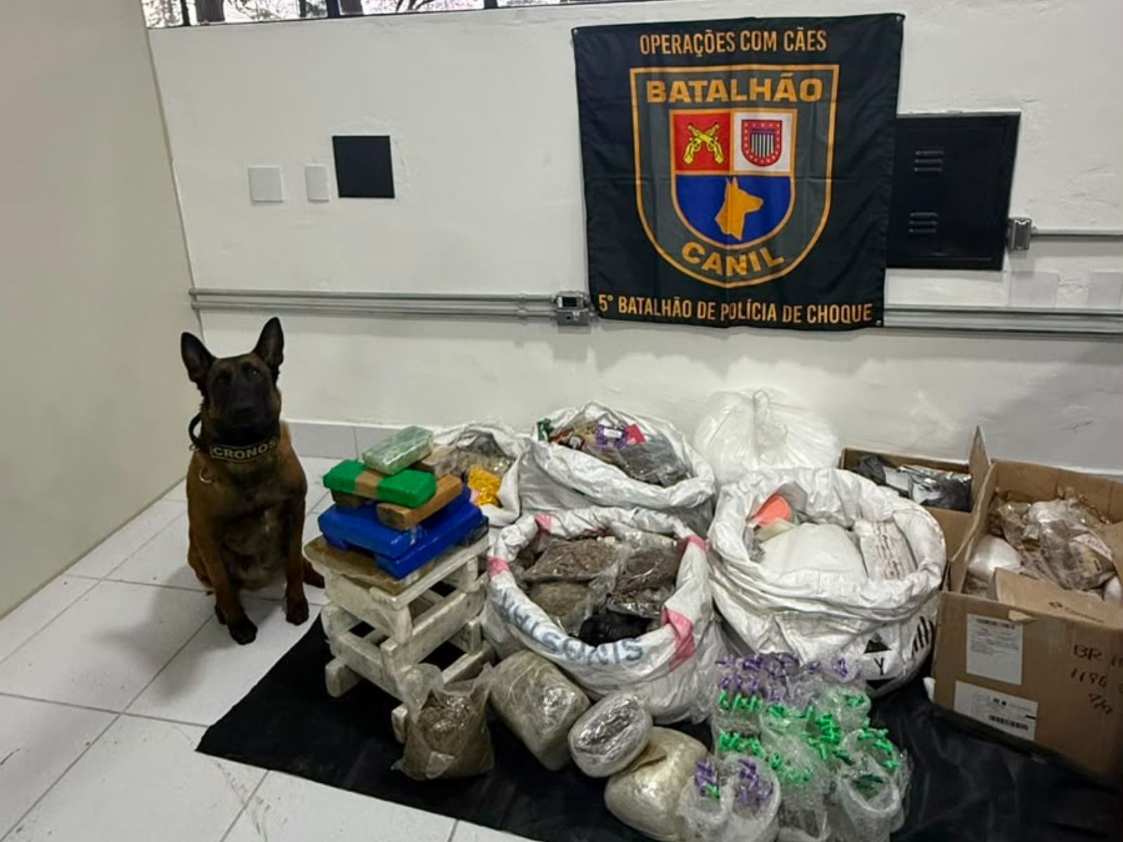 Vídeo: polícias apreendem 174 kg de drogas durante operação nos Correios em SP