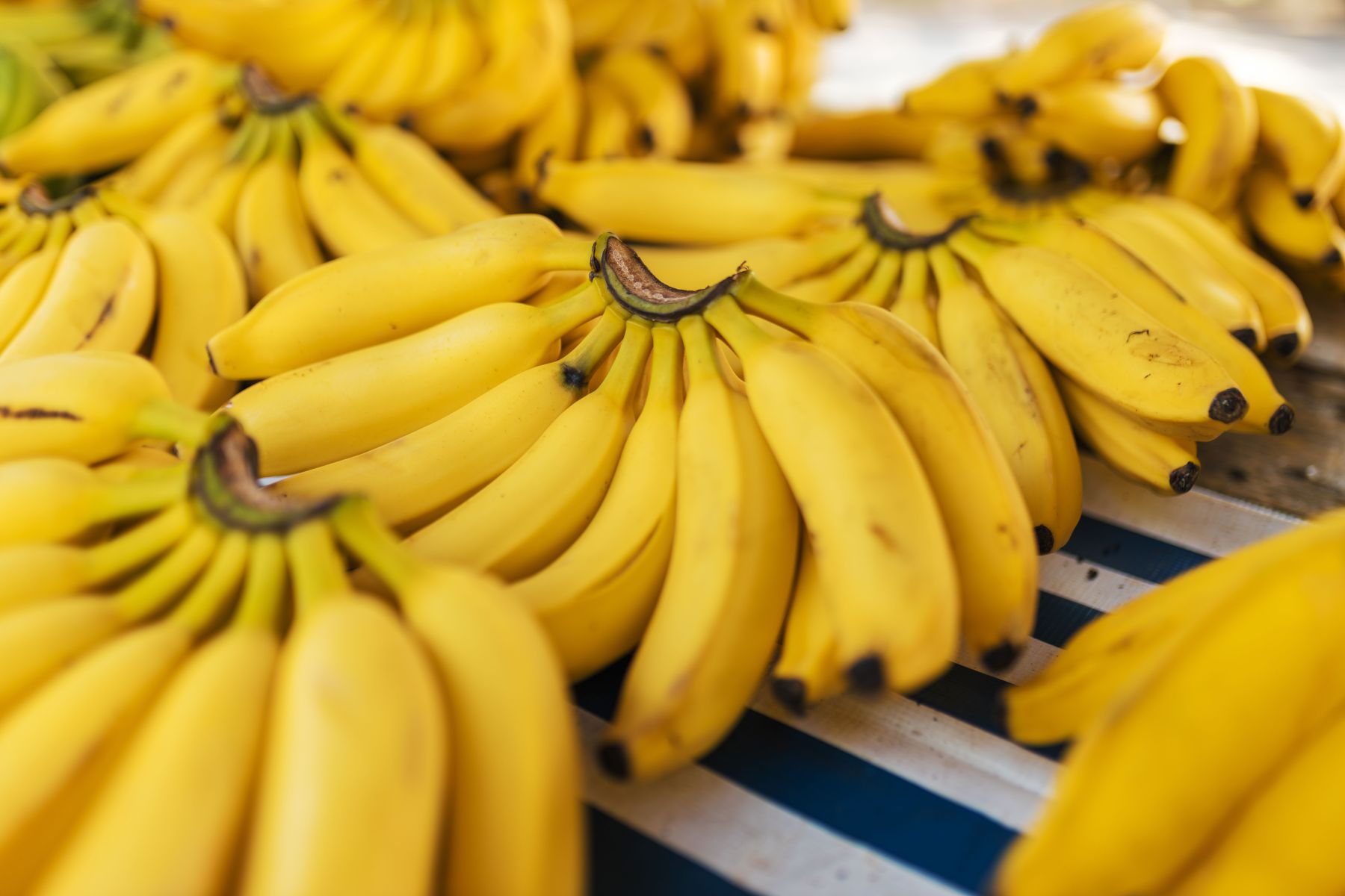 Nem na geladeira, nem na bancada: especialistas explicam como armazenar bananas corretamente