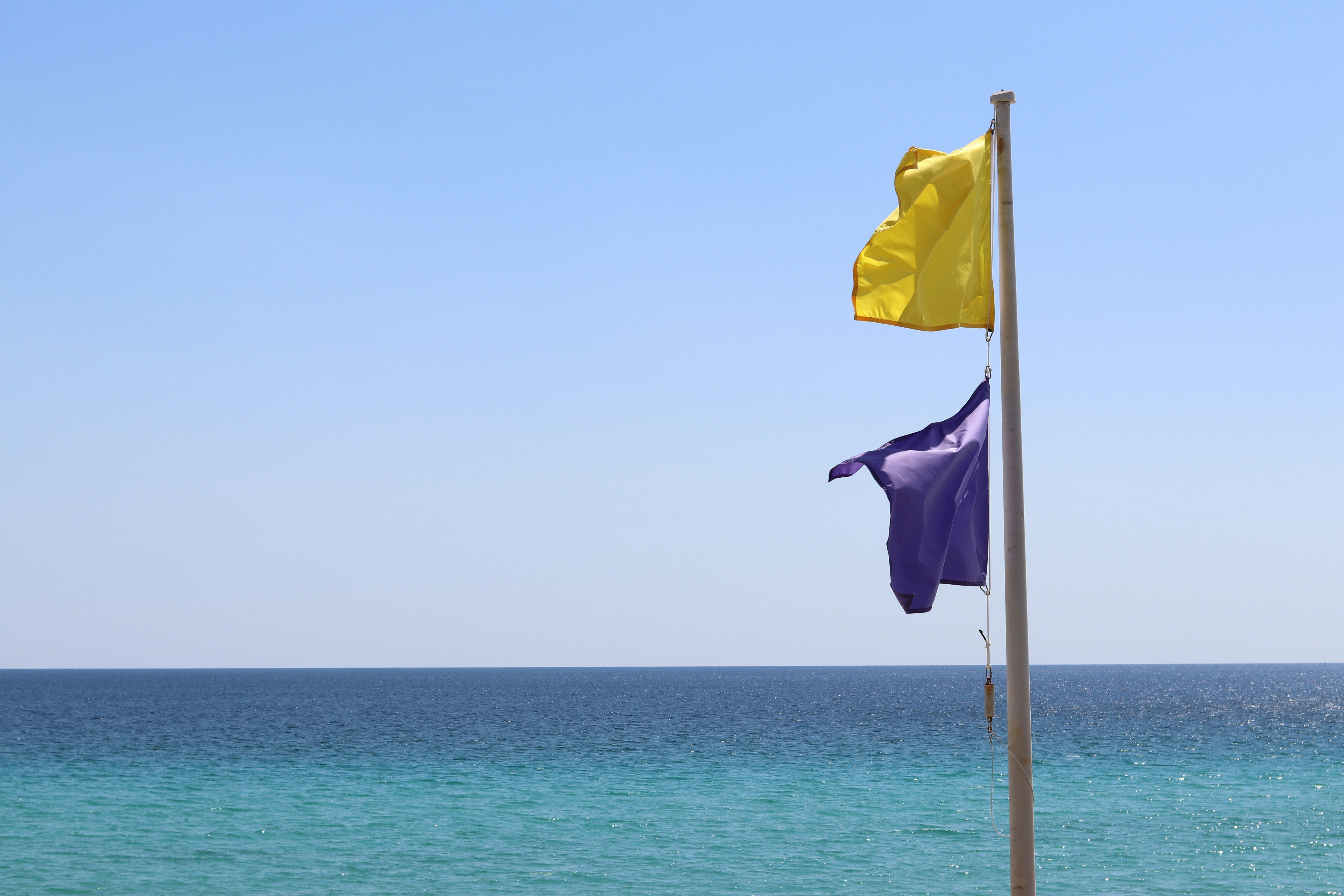 Bandeira roxa na praia: o que significa e o que deve fazer se a encontrar