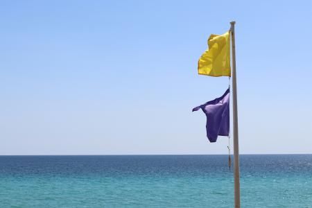 Bandeira roxa na praia o que significa e o que deve fazer se a encontrar