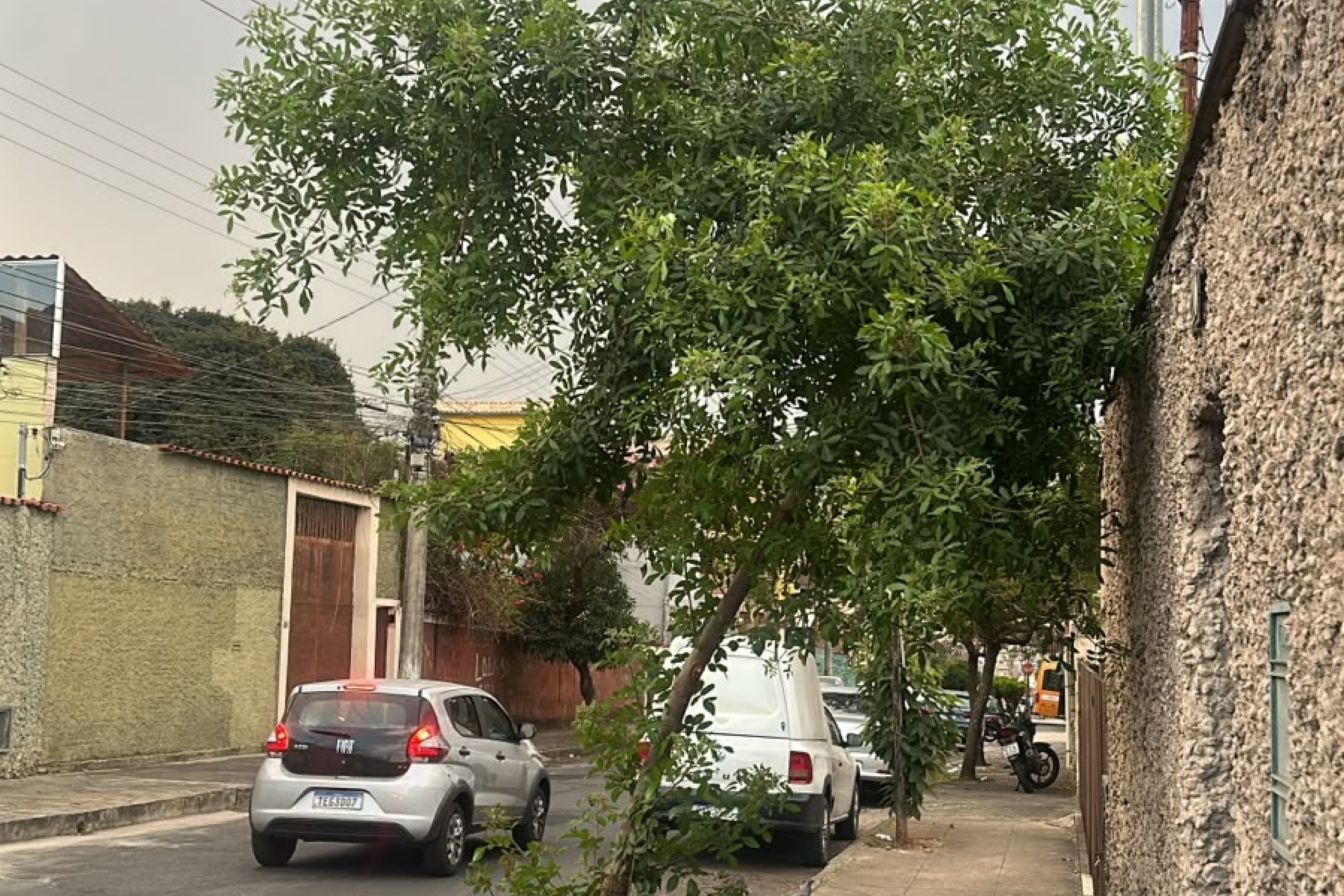 Defesa Civil de BH alerta para chuva com raios e rajadas de vento nesta segunda (24)