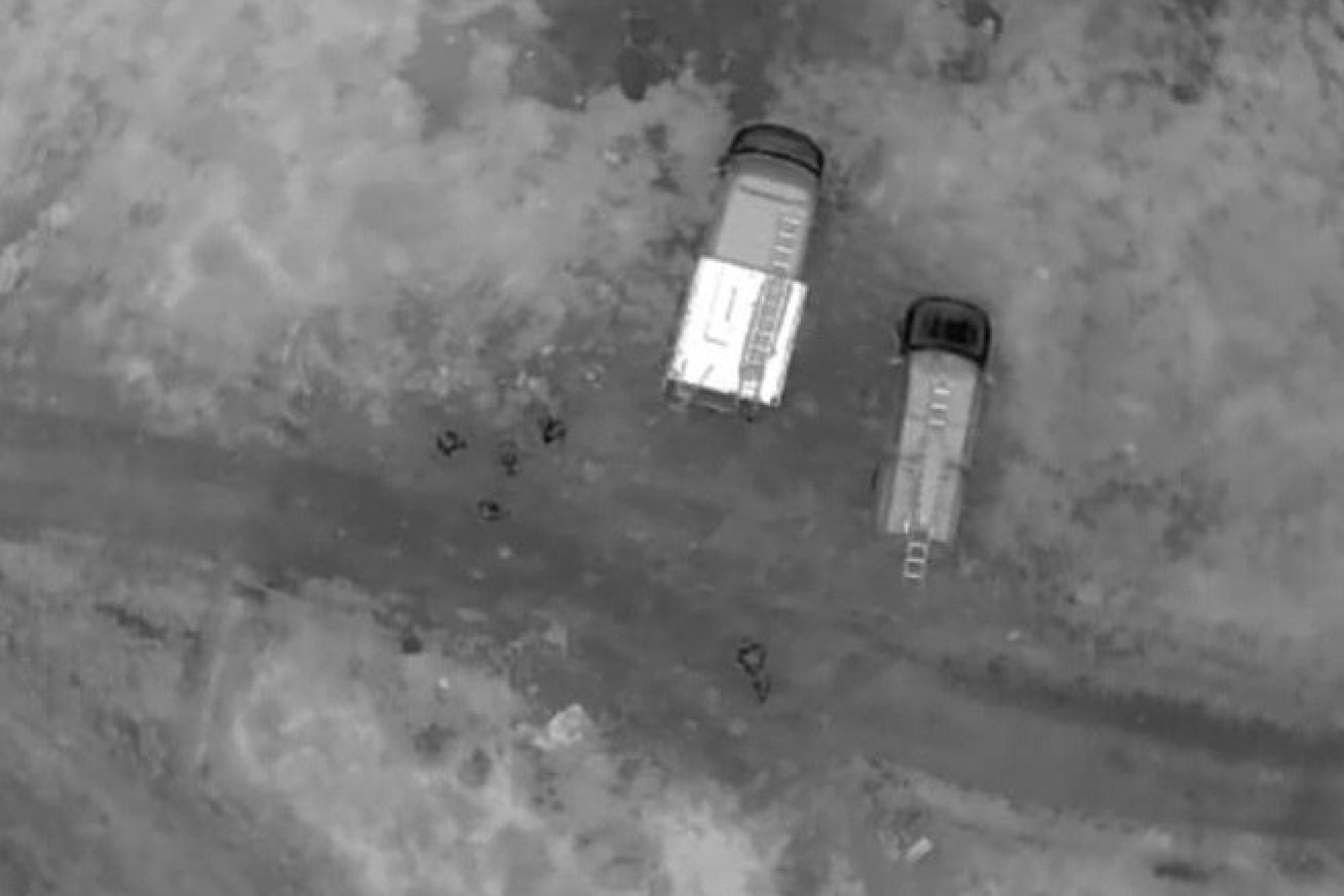 Idosa de 95 anos desaparecida em Caeté foi encontrada com ajuda de cães e drones