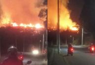 Vídeo: incêndio em mata ameaça rede elétrica em BH e mobiliza o Corpo de Bombeiros