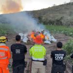 Vídeo: PC incinera 1,9 tonelada de maconha encontrada em plantação com 60 mil pés em MG