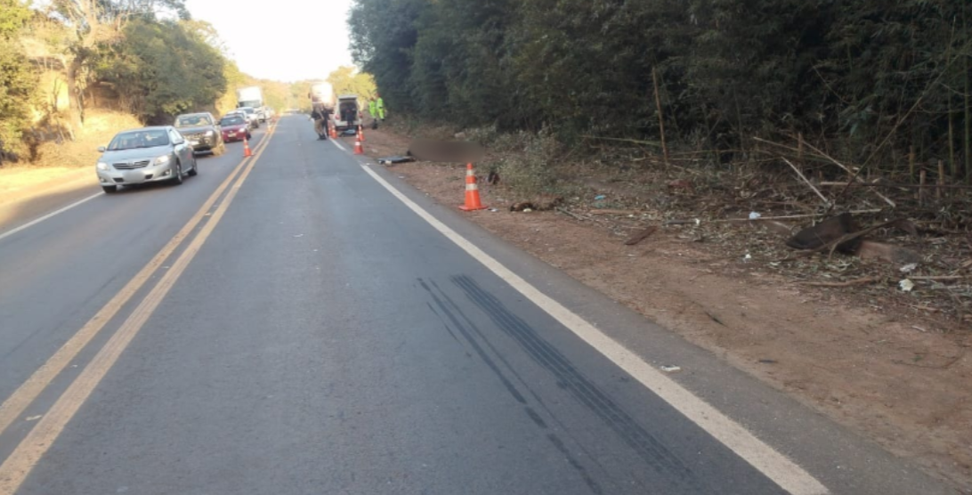 Cavaleiro morre após ser atingido por ônibus na BR-265 em Nepomuceno
