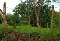 Nascentes recebem cercas de arame em Conceição da Aparecida