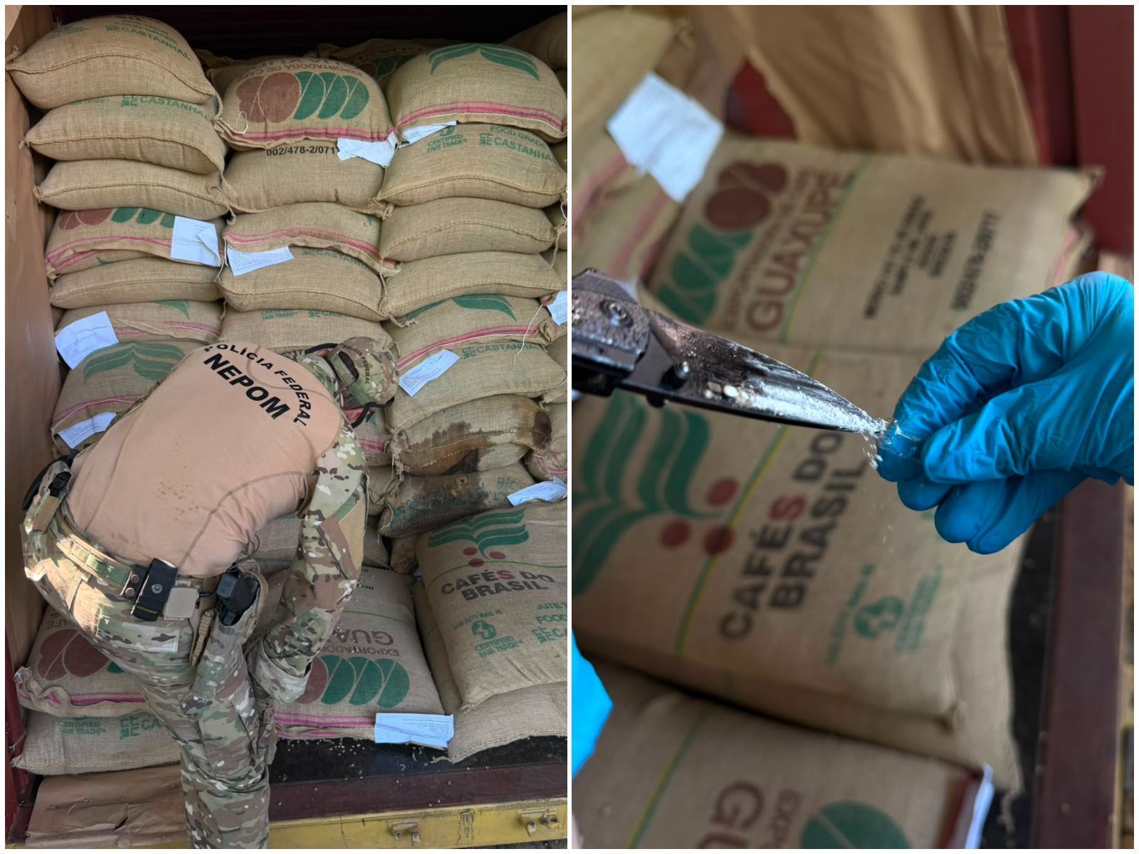 PF apreende droga avaliada em R$ 14 milhões escondida em carga de café no Porto de Santos