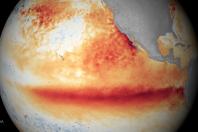 El Niño pode encarecer alimentos em até 20% e elevar custos no agronegócio
