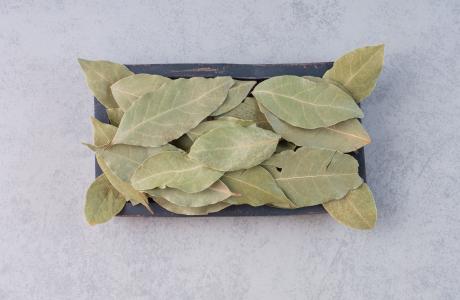 Ferver folhas de louro com canela e cravo-da-índia por que é recomendado e para que serve