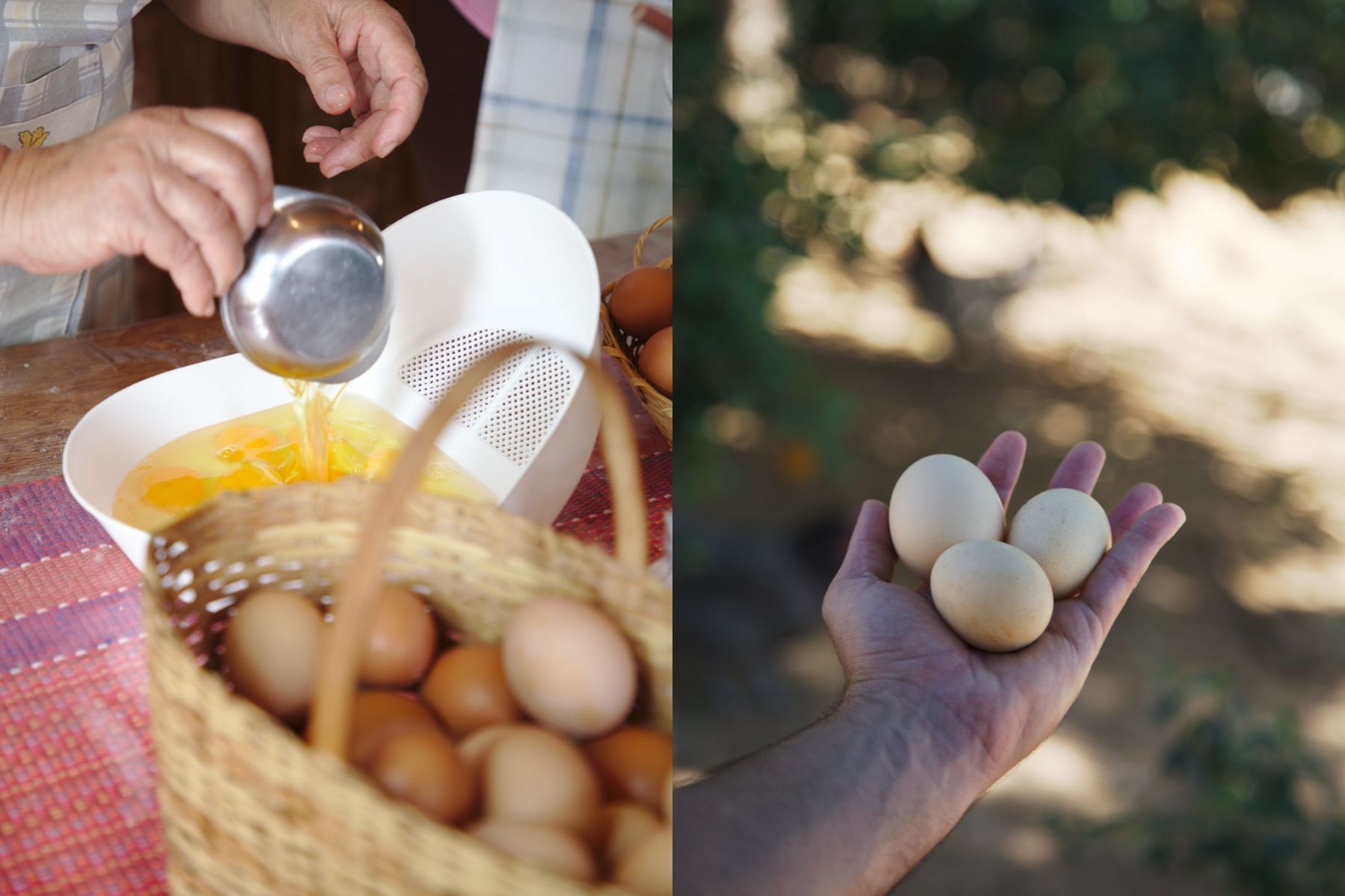 Clubes de assinatura ganham espaço no agro e aproximam produtores dos consumidores