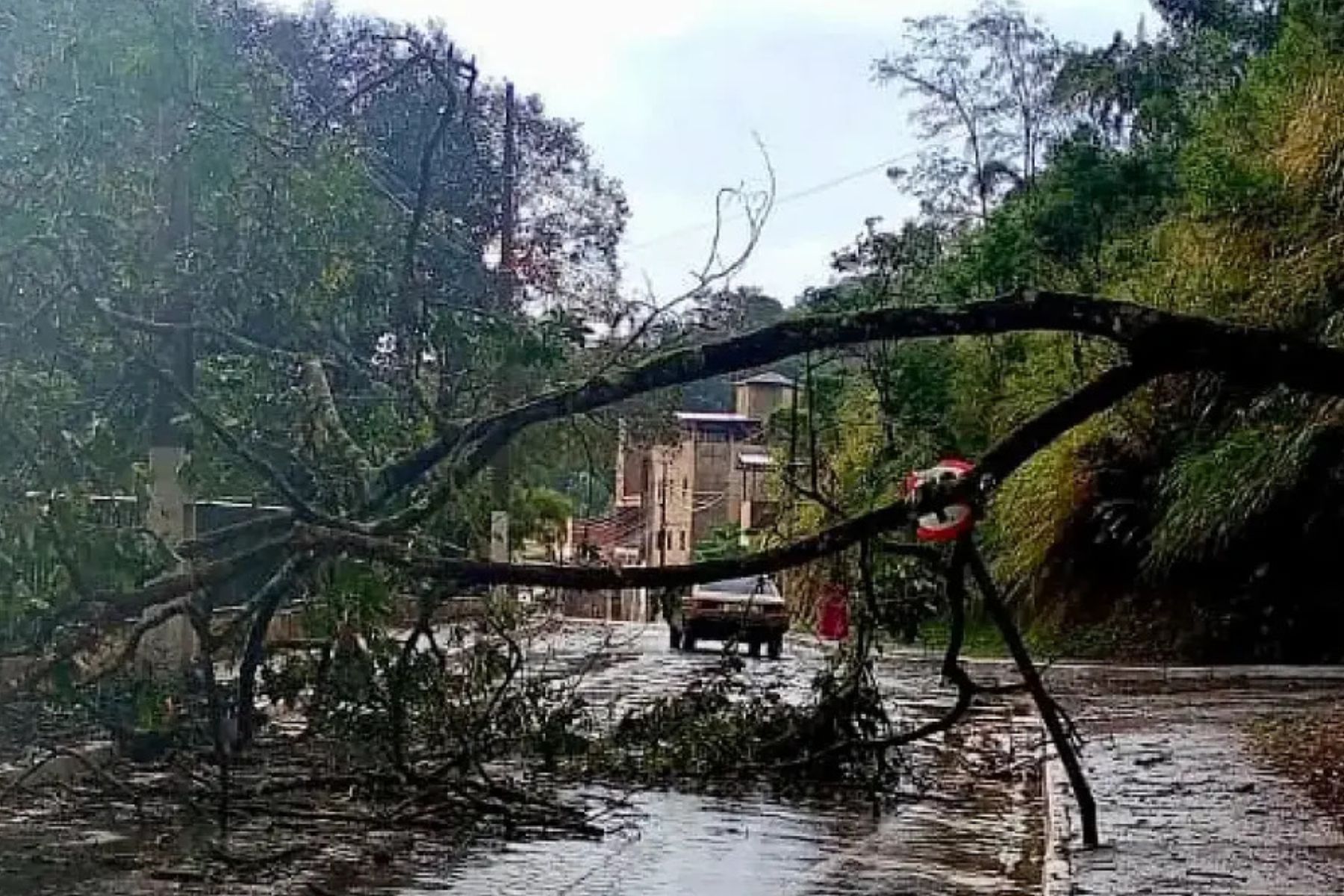Chuva forte de granizo causa alagamentos e queda de árvore em Congonhas