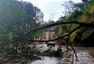 Chuva forte de granizo causa alagamentos e queda de árvore em Congonhas
