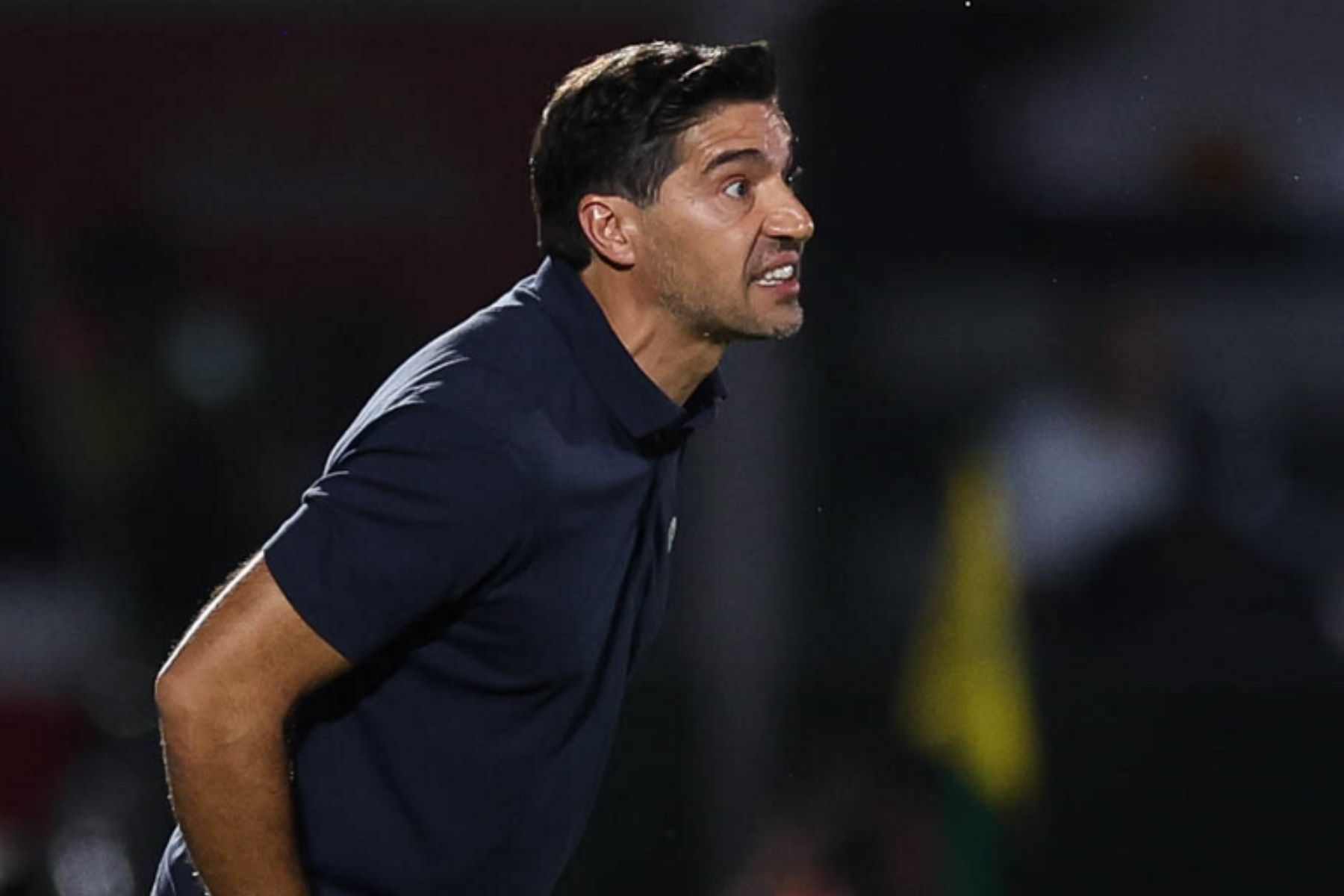 Abel Ferreira é direto sobre Vitor Roque no Palmeiras: 'Não está em boa forma'