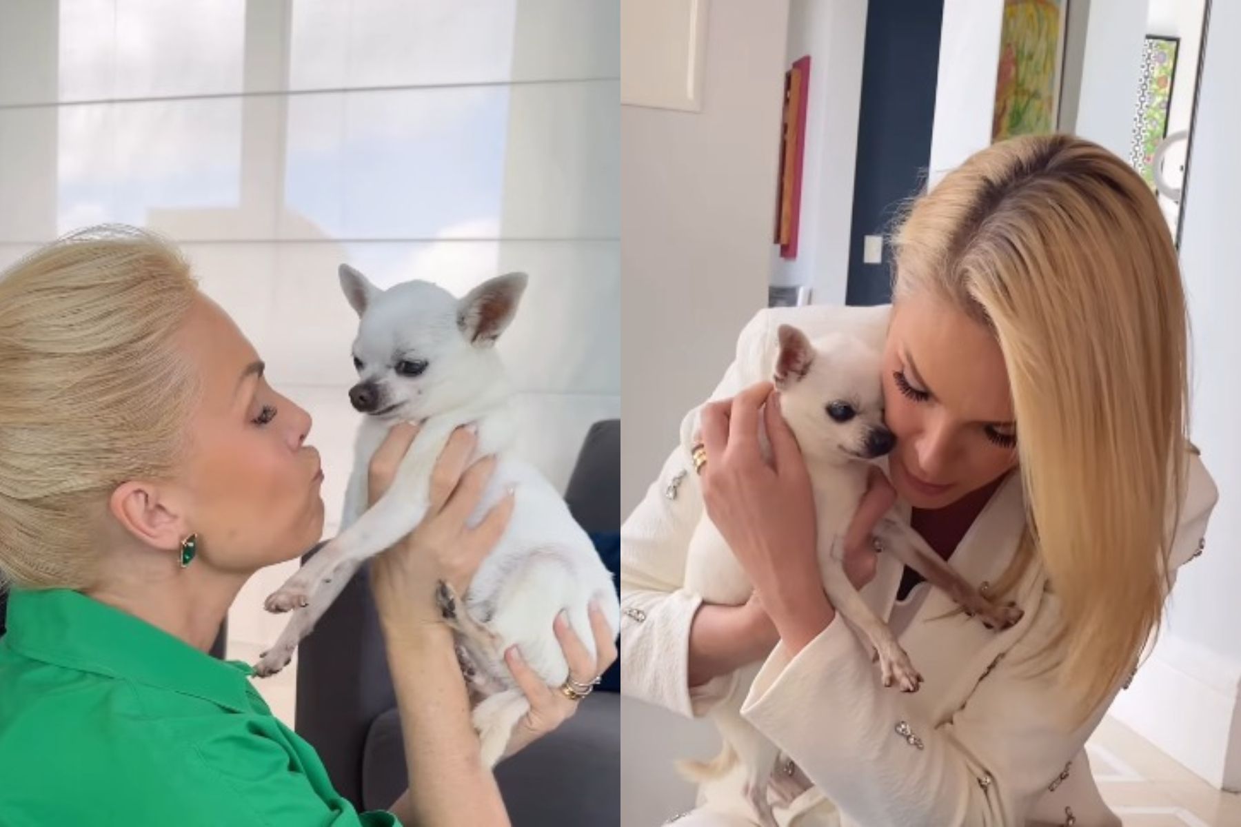 Ana Hickmann lamenta morte de um de seus cães: ‘Nunca é fácil’