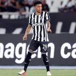 Fora da Sul-Americana, reforço do Botafogo afasta crise: 'Franclim conversou'