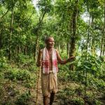 Começou a plantar árvores em uma ilha da Índia em 1979 e depois criou floresta com 550 hectares