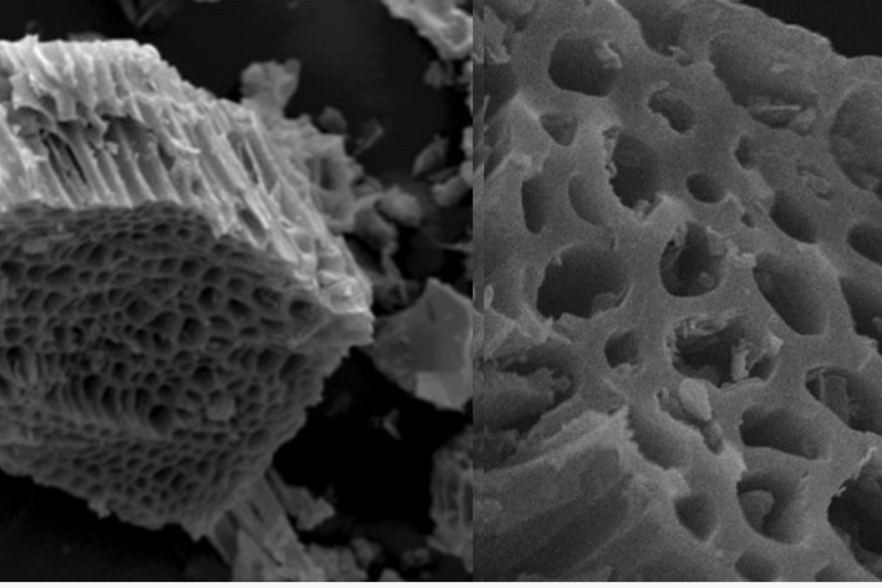 Biochar transforma resíduos agrícolas em aliado para solo e clima